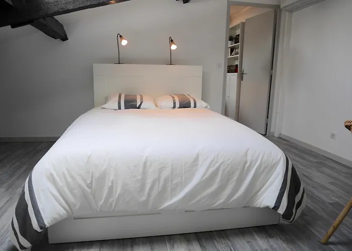 公寓 De Cyrano 贝尔热拉克